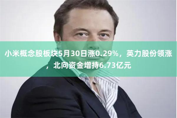 小米概念股板块5月30日涨0.29%，英力股份领涨，北向资金增持6.73亿元