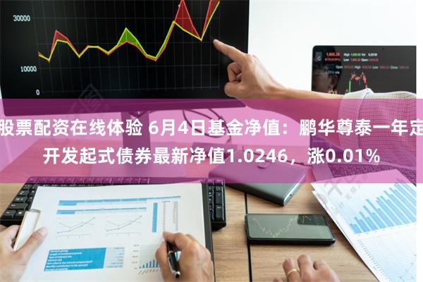 股票配资在线体验 6月4日基金净值：鹏华尊泰一年定开发起式债券最新净值1.0246，涨0.01%