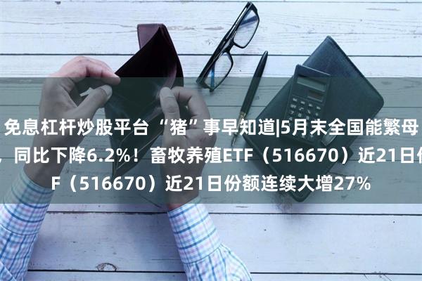 免息杠杆炒股平台 “猪”事早知道|5月末全国能繁母猪存栏3996万头，同比下降6.2%！畜牧养殖ETF（516670）近21日份额连续大增27%