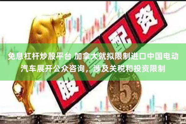 免息杠杆炒股平台 加拿大就拟限制进口中国电动汽车展开公众咨询，涉及关税和投资限制