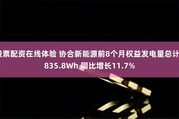 股票配资在线体验 协合新能源前8个月权益发电量总计5835.8Wh 同比增长11.7%