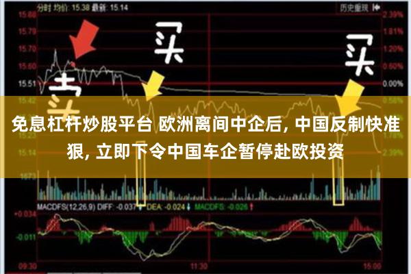 免息杠杆炒股平台 欧洲离间中企后, 中国反制快准狠, 立即下令中国车企暂停赴欧投资