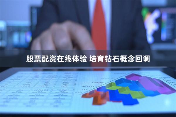 股票配资在线体验 培育钻石概念回调